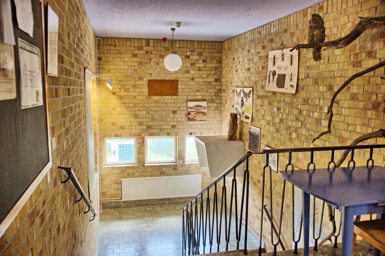 B&B Gillhov & Camping Svenstavik 외부 사진
