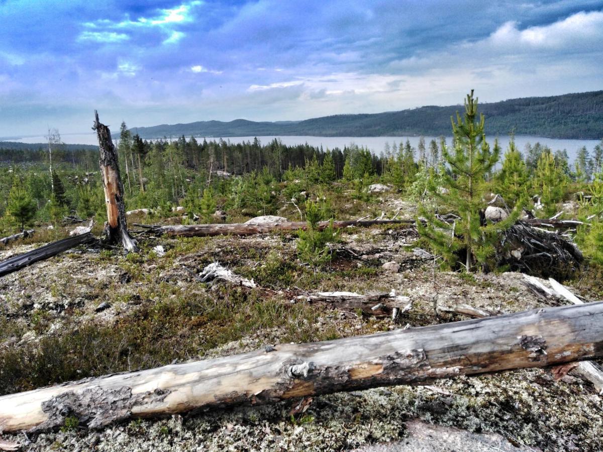 B&B Gillhov & Camping Svenstavik 외부 사진